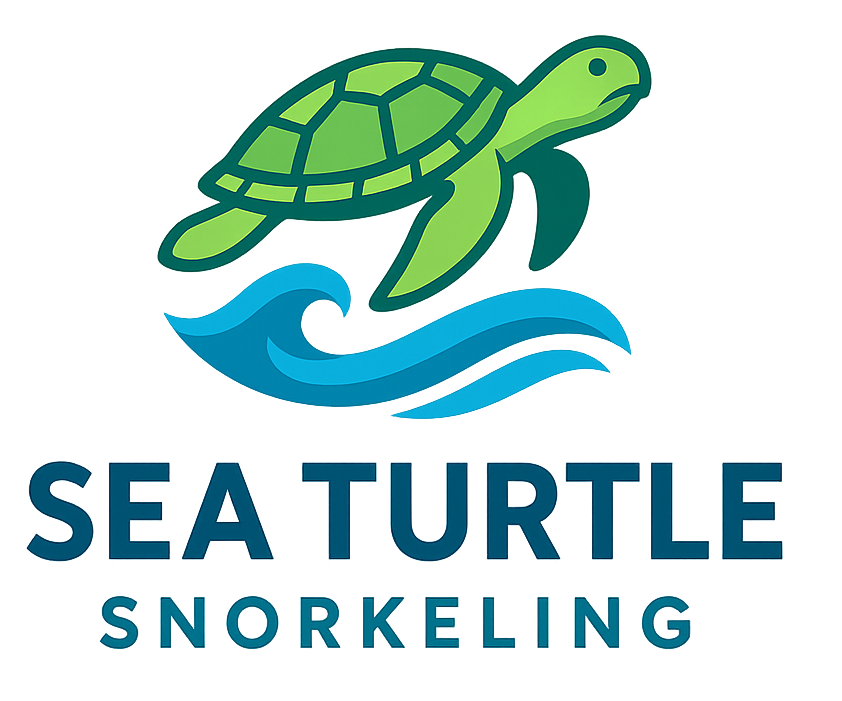 Sea Turtle Snorkeling Mirissa / Sri Lanka